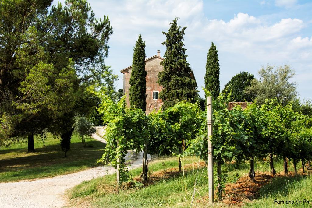 Agriturismo Le Spezie Conegliano Kamer foto