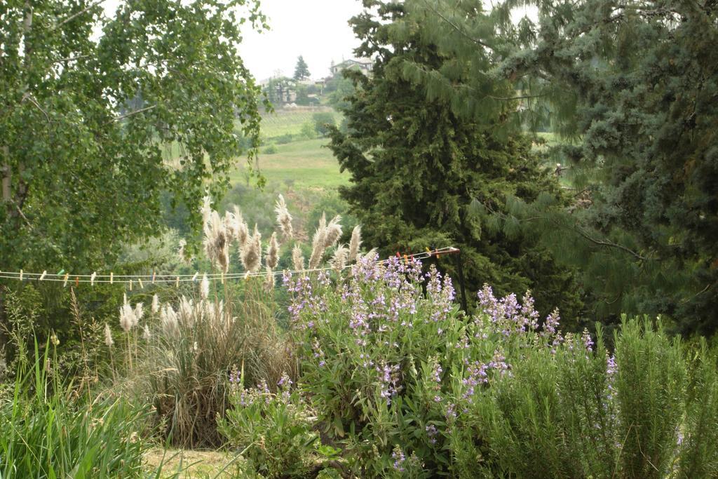 Agriturismo Le Spezie Conegliano Buitenkant foto