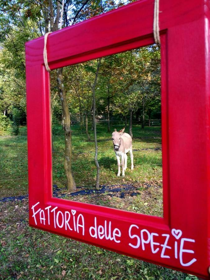 Agriturismo Le Spezie Conegliano Buitenkant foto